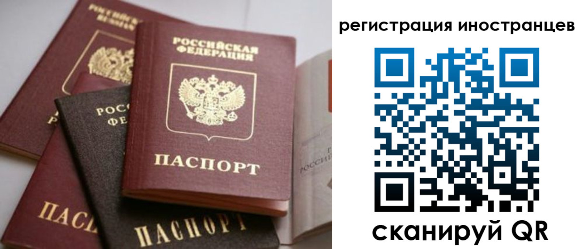 форма 3 в Клинцах